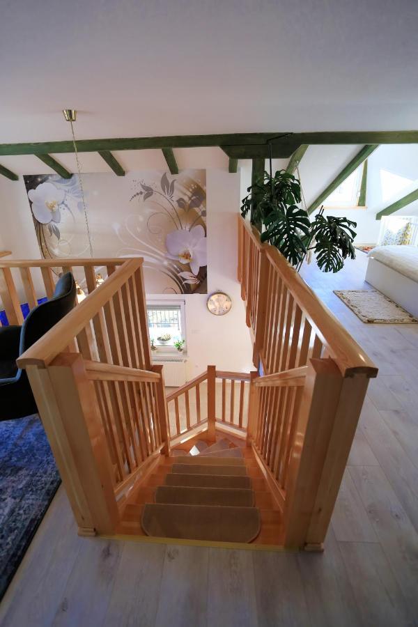 Luxury Apartman Alex With Sauna In The Village Otočac 外观 照片